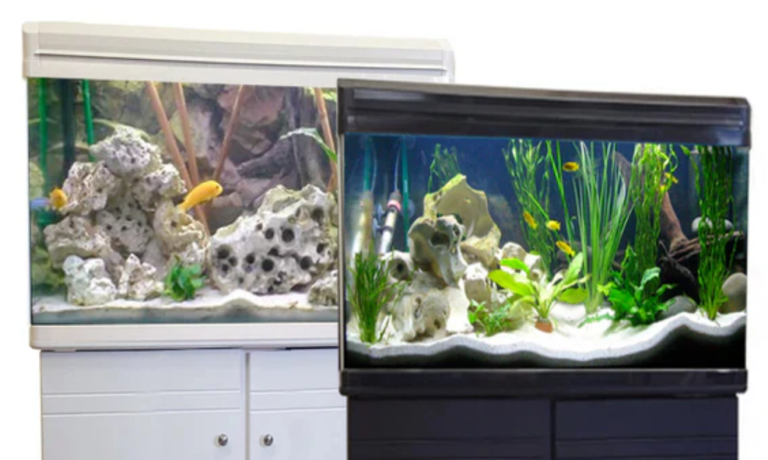 akvarij za početnike